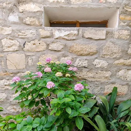 Sweet Nest Apartman